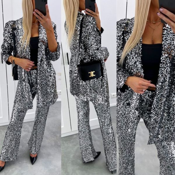 Silver Two-piece Set With Sequins