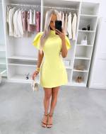 Geltona Suknelė Su Raukinių Detalėmis