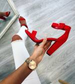 Lilla Plokk-kontsaga Kingad