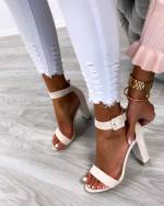 Lilla Plokk-kontsaga Kingad