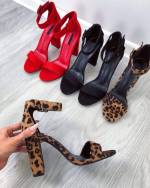 Lilla Plokk-kontsaga Kingad